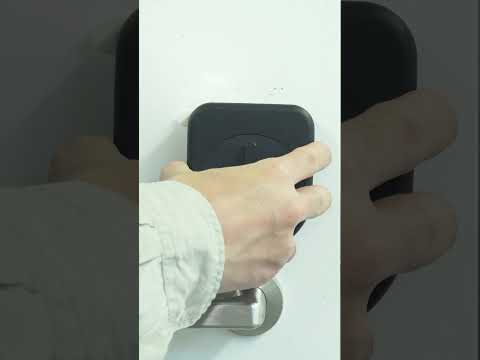 #セサミ５北米北欧版