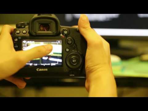 5D4 LiveView對焦測試