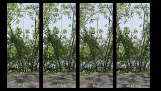 Canon R5 II Video Resolutions Comparison
