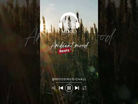 Whispering beats - Calm Tunes for Your Current Mood #focussounds #relaxandfocus#lofi #beats