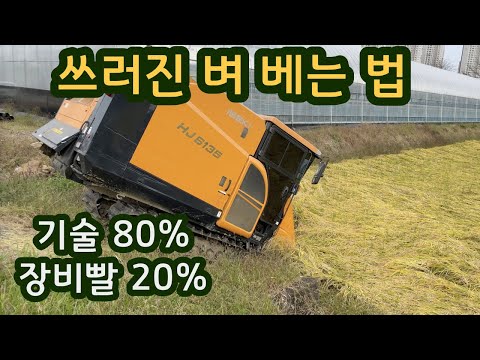 쓰러진 벼 수확하는 방법-쌀농사 농기계 콤바인