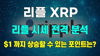 리플 XRP 리플 시세 전격 분석 $1 까지 상승할 수 있는 포인트는?