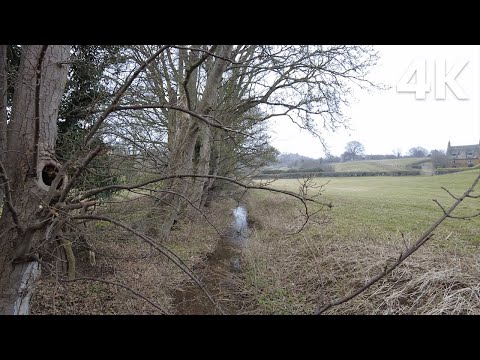 A serene walk through the heart of nature (Nature Visualizer)