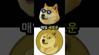도지코인 투자가 최악인 이유? | 도지코인전망2023 호재 악재 가격 전망 | 밈코인 시바이누 페페코인 베이비도지코인 일론머스크