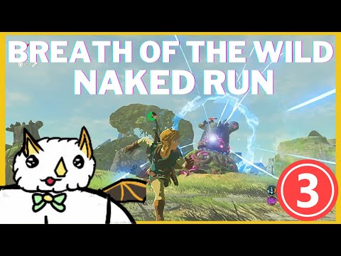 [Buttons Streams] Breath of the Wild Naked Run Pt. 3