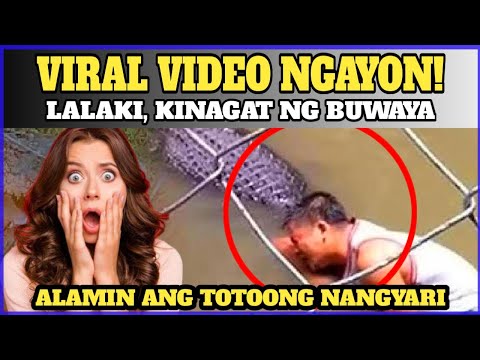 Grabe! Lalaki Kinagat ng Buwaya   Viral Video, Alamin ang Buong Kwento! | Brain Power 2177