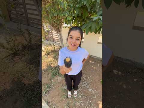 Aladuvom🤣🤭🔥 #ismail0102 #tamilcomedy #funnyvideos #viralvideo #shorts #youtubeshorts