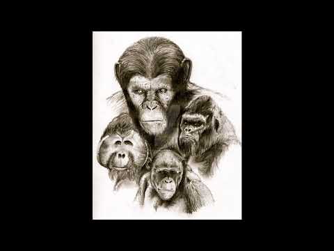 War for the Planet of the Apes movie review