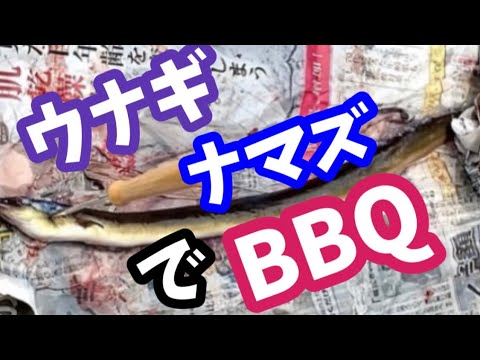 うなぎ、ナマズでBBQ！捌きます^ ^