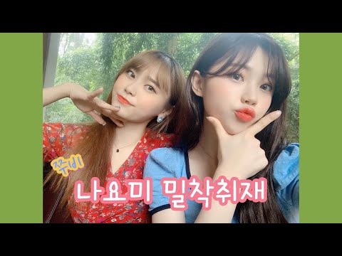 Vlog|일상|영도|신기숲|샤브향|나요미 영도투어하다💕