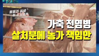 [동물과의 공생②] 연례행사 된 가축전염병, 오로지 살처분에 농가책임만
