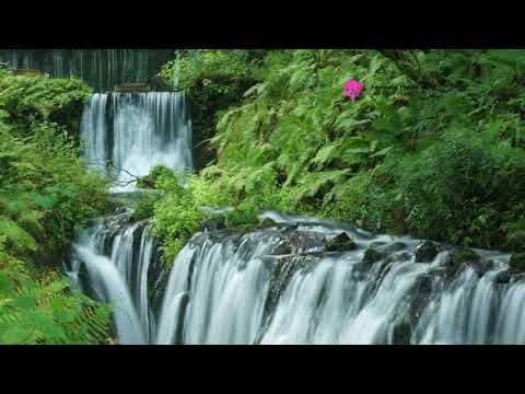 Shiraito Waterfall