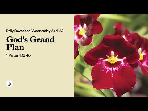 God’s Grand Plan – Daily Devotional