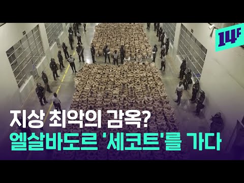 중남미 최대 감옥 엘살바도르 ‘세코트’ 공개한 이유? / 14F