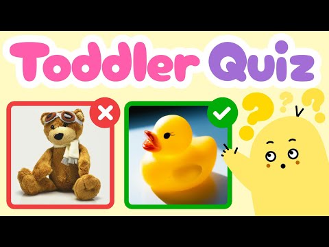 Fun Objects Quiz for Toddlers! Multiple Choice! Familiar Objects!