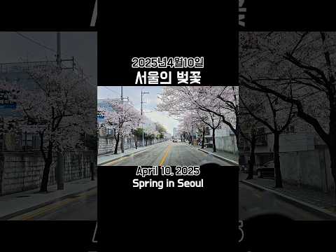 봄이 왔나봄