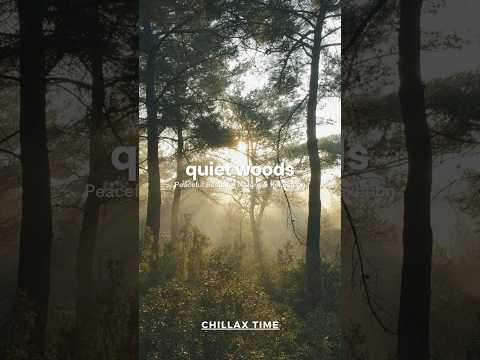 quiet woods / #peacefulmusic , #quietwoods, #naturesounds, #meditationmusic, #forestvibes #shorts