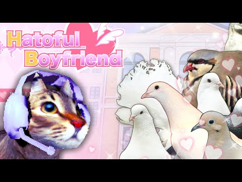 Dating Pigeons & Fixing Bugs