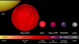 Sizes of Stars and Sub-Stellar Objects: From Brown Dwarf to Red Hypergiant