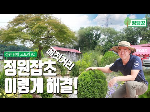 예쁜 정원가꾸기 포인트와 골칫거리 잡초제거방법! 키우기 쉬운 정원수 추천까지~