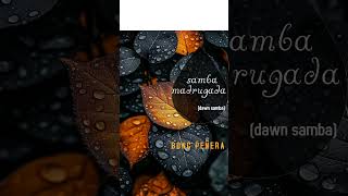 SAMBA MADRUGADA #jazzmusic #music #bongpeñeramusic #pennyrosemusicprod #vintagerecords #love