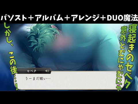 【ツイステ】寝起きのセベク！前髪がセクシーだが意外と…？！　SSR　くつろぎマイルーム　セベク　パーソナルストーリー「ハッピーバースデー」全話＆キャラクターアルバム＆アレンジ＆DUO魔法　まとめ