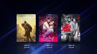 Superhit Punjabi Blockbusters @ 8:30 PM