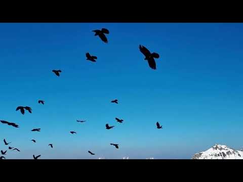Calm Music 2