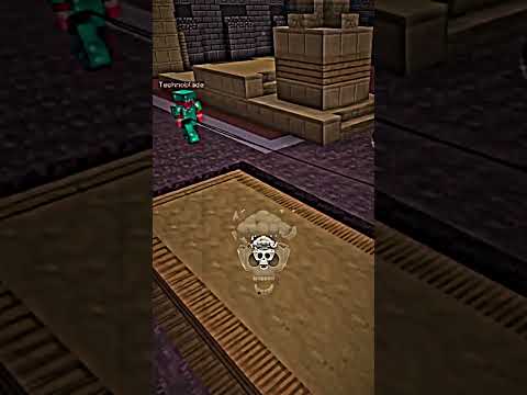 Dream fought the true BEST #minecraft #dream #daquavis #technoblade