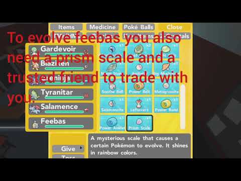 EVOLVING FEEBAS! - Pokemon Brick Bronze