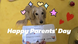 eng) 마롱티비 🐶 | 강아지 브이로그, 어버이날편지, 잠실 반려견 동반 맛집 추천, 밤산책