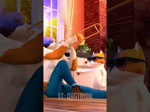 Funny Kit... don't laugh at the end! 😂