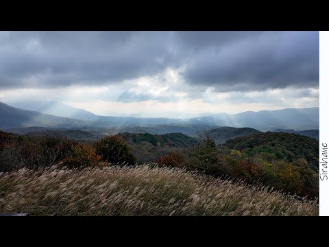 【岡山旅】蒜山大山スカイライン　鬼女台展望休憩所のススキ群生地　｜Osmo Pocket 3