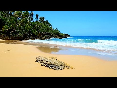 Ocean Sounds for Sleeping, Meditation, Yoga on a Tropical Beach