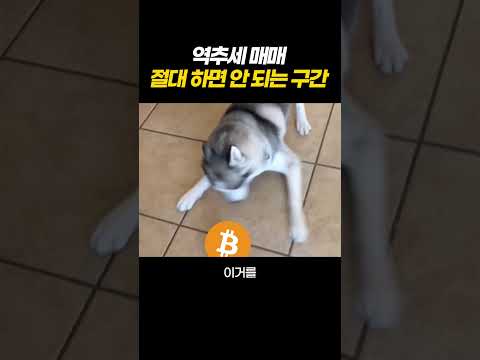 절대 역추세 매매 하면 안 되는 구간