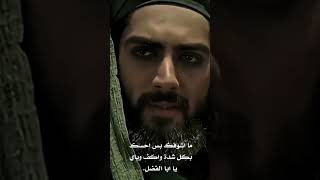 يا ابا الفضل #الامام_العباس_عليه_السلام #ابا_الفضل #العتبة_العباسية_المقدسة