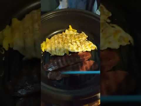 Vanlife- Power 1000 watts and an electric skillet