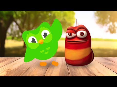 Oi Oi Oi Duolingo
