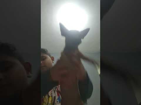 12 de setembro de 2024