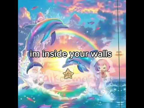 daily reminder 🌺🌺🏝️🏝️🏝️🐬🐬🐬🌈🌈🌈🌈🎀🎀🎀🩷🩷