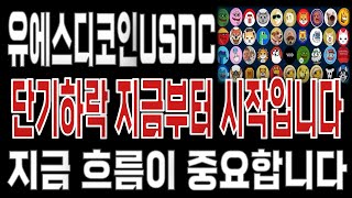 유에스디코인USDC _ 코인전망 드디어 터진다. 1분전 긴급속보 이제부터 시작입니다. 유에스디코인USDC #유에스디코인USDC목표가 시세전망 호재