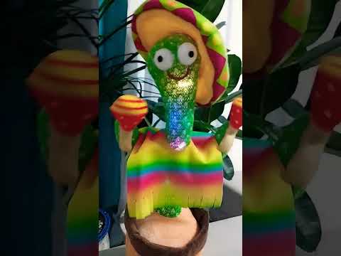 노래 부르는 선인장 #shorts