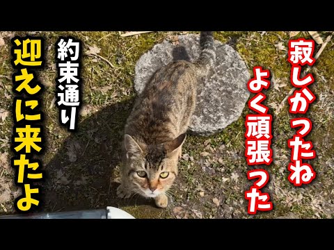 We rescued a lonely cat whose owner died alone and who suddenly became a stray... Finally, we hav...