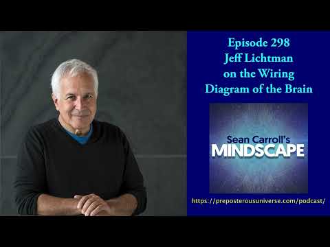 Mindscape 298 | Jeff Lichtman on the Wiring Diagram of the Brain