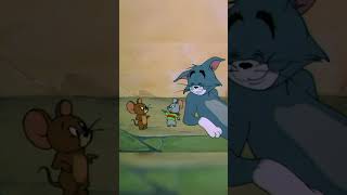 International Tom and Jerry | #cartoons #animation #tomandjerry #italy