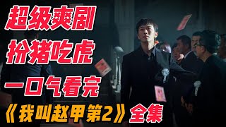 【完整版】一口气看完最新爽剧第二季，2025顶级扮猪吃老虎的大作 #影视解说 #中国电视剧
