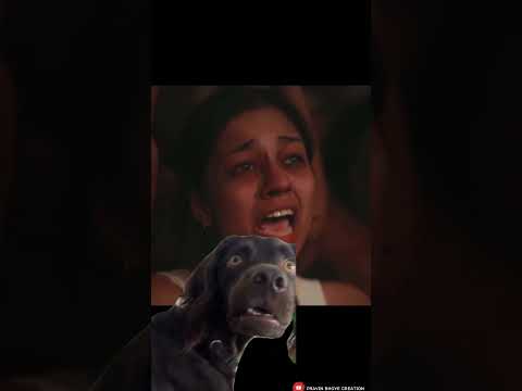 Viral Video | Viral instagram video | Crying girl diljit consert | Latest viralvideo|#diljitdosanjh