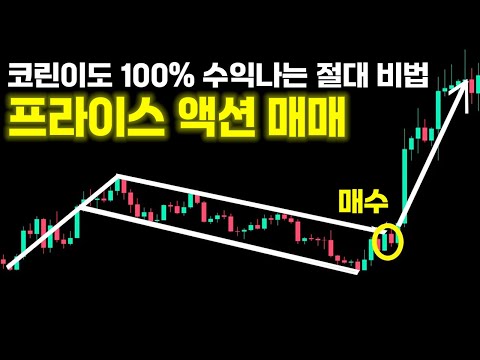 프라이스 액션 이 영상 하나로 끝입니다