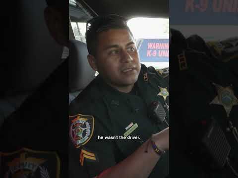 Police Stop Car, Man Claims He Wasn’t the One Driving | Florida Heat | A&E #shorts