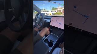 테슬라 완전자율주행 한국은 언제즘…? 🤔